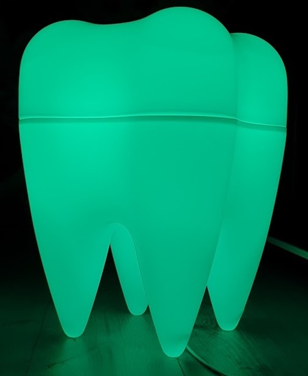 Backenzahn Modell groß aus Kunststoff, beleuchtet